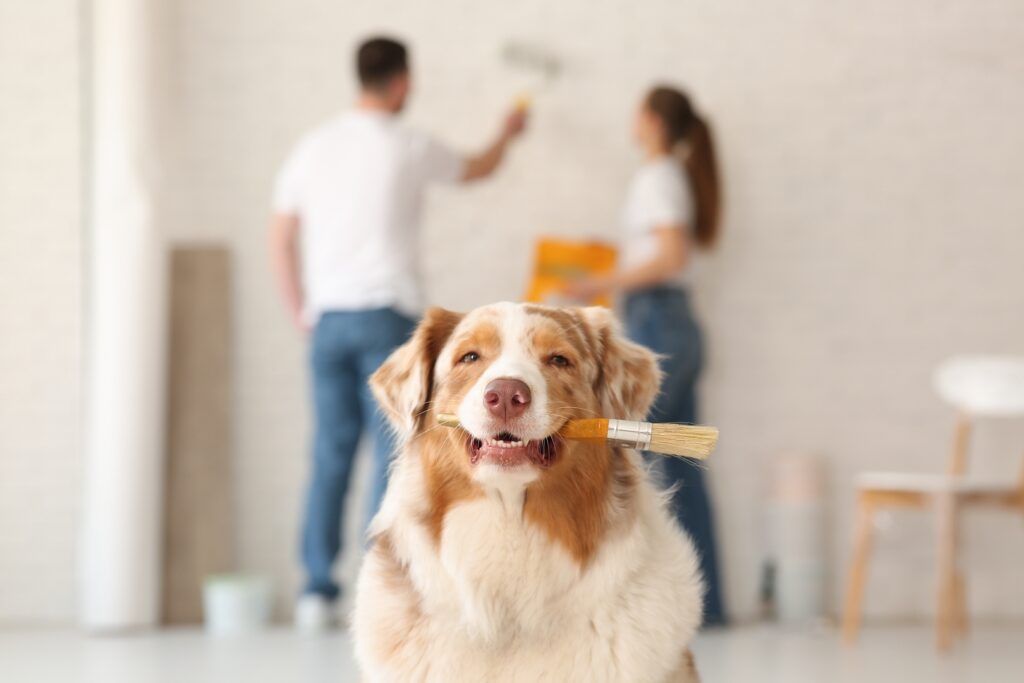 A friendly dog holds a paintbrush in its mouth while two people in the background work on painting a room, showing the importance of choosing reliable interior painters in Wichita.