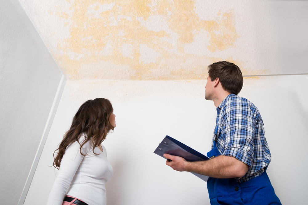 A homeowner consulting with a painting contractor to understand the answer to the question, 'Is commercial painting more expensive than residential painting?'